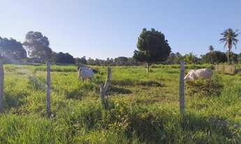 Imagem 7: Chácara à Venda no Conde - Litoral Norte da Bahia - Conde