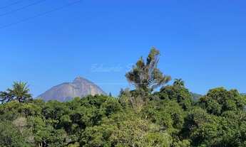 Imagem 4: Apartamento para venda com 419 metros quadrados com 4 quartos