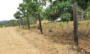 Imagem 3: Chácara a venda ou troca em veículo