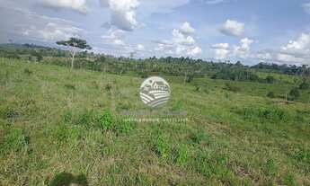 Imagem 2: Machadinho D'Oeste - Sítio - 12.5 Alqueires