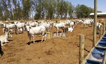 Imagem: Fazenda à venda, 6751800 m² por R$ 14.000.000,00