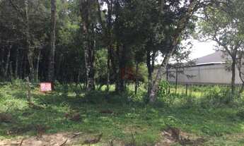 Imagem 2: Terreno no bairro Jardim Mariana em Canela