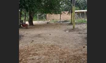 Imagem 4: TERRENO EM IRANDUBA KM 06