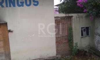 Imagem 2: Porto Alegre - Terreno Padrão - Ipanema