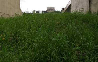 Imagem 2: Porto Alegre - Terreno Padrão - Cristal