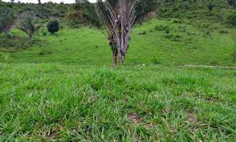 Imagem 2: TERRA SITIO FAZENDA