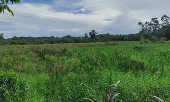 Imagem 2: Sítio 20 alqueires Plano ( Willian Ricardo