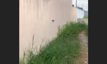 Imagem 3: Terreno com escritura documentado