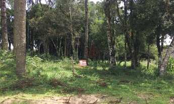 Imagem 5: Terreno no bairro Jardim Mariana em Canela