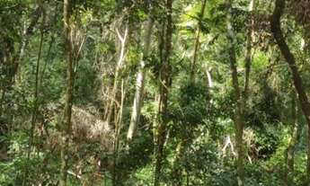 Imagem 3: Chácara com preço acessível, para quem procura área arborizada aqui temos !