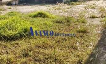 Imagem 6: Bairro do Castanho - Área de 40.000 m² para incorporação em rodovia