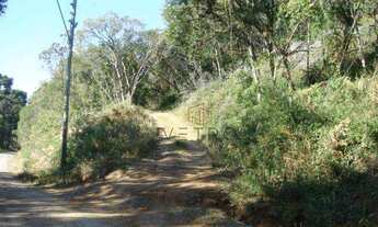 Imagem: Terreno no bairro Três Pinheiros em Gramado!