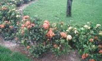 Imagem 3: Terreno Condomínio Village La Montagne