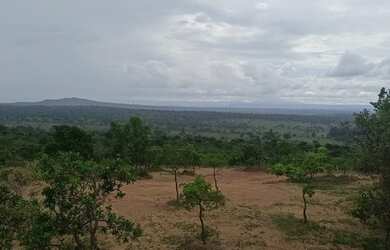 Imagem 2: Lindas fazendinhas em Cordisburgo só R$ 11.900,00 de sinal (PQ78).