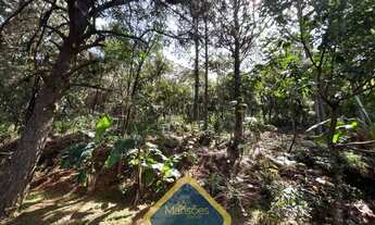 Imagem 2: Lote de 1283m² à venda no condomínio Bosque da Ribeira