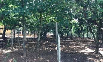 Imagem 3: Chácara 2 alqueires Município de Bela Vista Goias