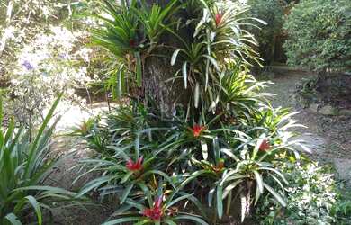 Imagem 7: Porto Alegre - Sítio - Belém Novo