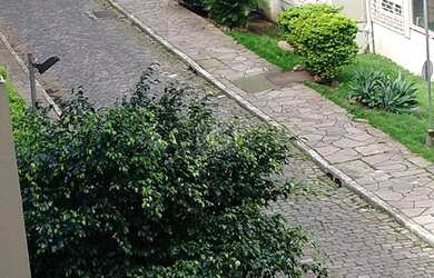 Imagem 5: Porto Alegre - Apartamento Padrão - Santa Tereza