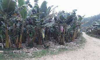 Imagem 2: Eldorado - Fazenda - Vergueiro