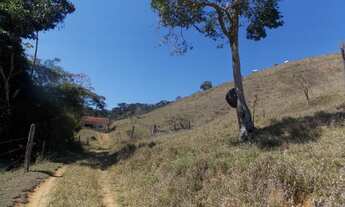 Imagem 4: SÍTIO EM IPIABAS - 4 ALQUEIRES MINEIROS FORMADO EM PASTO