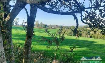 Imagem 4: Fazenda de 58 hectares para soja, Sentinela do Sul, confira!