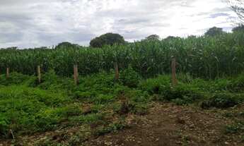 Imagem 2: Oportunidade de venda. Sítio Palmeropolis TO