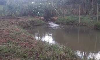 Imagem 6: Chácara localizado na região de Farofa a 1km do centro em São Joaquim de Bicas