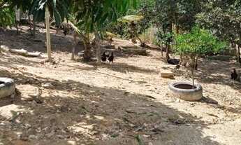 Imagem 2: Fazenda - Sítio - Chácara bairro - bairro Olho D'Água