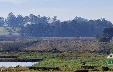 Imagem 4: Sítio de 4 hectares para empresas ou eventos em Águas Claras