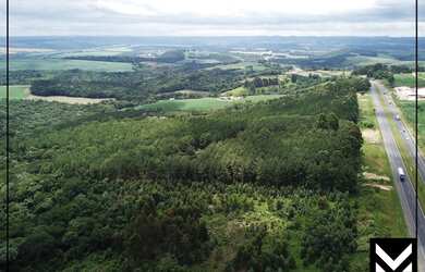 Imagem 4: Área no Pinheirinhos com 31,36 hectare