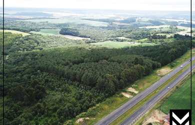 Imagem 6: Área no Pinheirinhos com 31,36 hectare