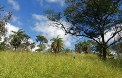 Imagem 4: Terreno com 1000 m² no San Marino aceito carro