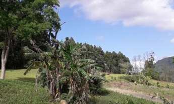 Imagem 4: Lindos Terrenos Loteamento Novo em Picada Café! REF: 410