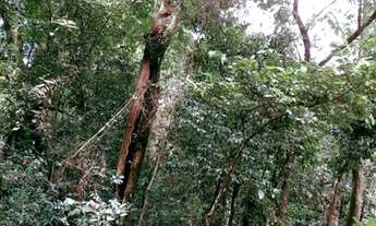 Imagem 6: Exclusivo! Lote/Terreno para venda possui 25462 metros quadrados em Casa Branca - Brumadin