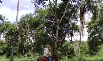 Imagem 2: Fazenda de 150 Alqueires Campinaçu