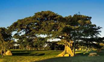 Imagem 6: Lote/Terreno no Condomínio Marítimo em Tramandaí