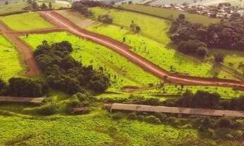 Imagem 3: TUIUTI - Terreno Padrão - Tuiuti