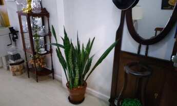 Imagem 7: Rio de Janeiro - Apartamento Padrão - Leblon