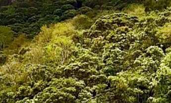 Imagem 2: Terreno com Linda Vista, Próximo da SC-434 e a 5 km da Praia da Barra, em Garopaba