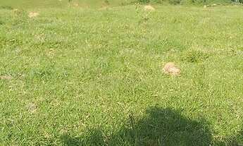 Imagem 2: Sítio Estância Hidromineral de Amparo/SP/BR (Hel. Fon.