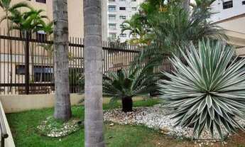 Imagem 2: APARTAMENTO - SANTANA - SP