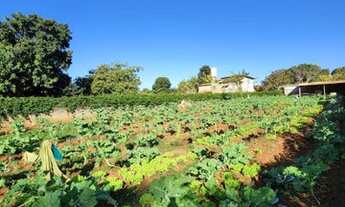 Imagem 3: CHÁCARA SÃO DOMINGOS GOIÂNIA/GO