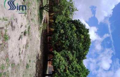 Imagem 6: Terreno para venda com 7.238,50m² em Mangabeira Eusébio- R$ 1.275000,00