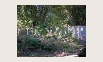 Imagem 6: Porto Alegre - Terreno Padrão - Teresópolis