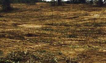 Imagem 5: Lote Fernão Dias