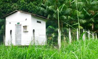 Imagem 6: Fazenda (altamente produtiva) - Silva Jardim