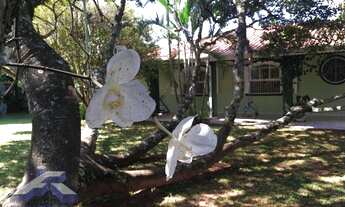 Imagem 3: Chácara com 4 dormitórios à venda, 2635 m² por R$ 1.000.000,00 - Vale dos Lagos - Tatuí/SP