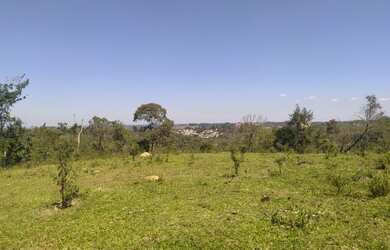 Imagem 2: Área para Chácara em Campo Magro