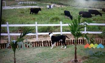 Imagem 4: Sítio Fazenda a 30km de Salvador