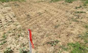 Imagem 3: Terreno no bairro Universitário